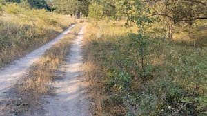 В окрестностях Амвросиевского мергельного карьера