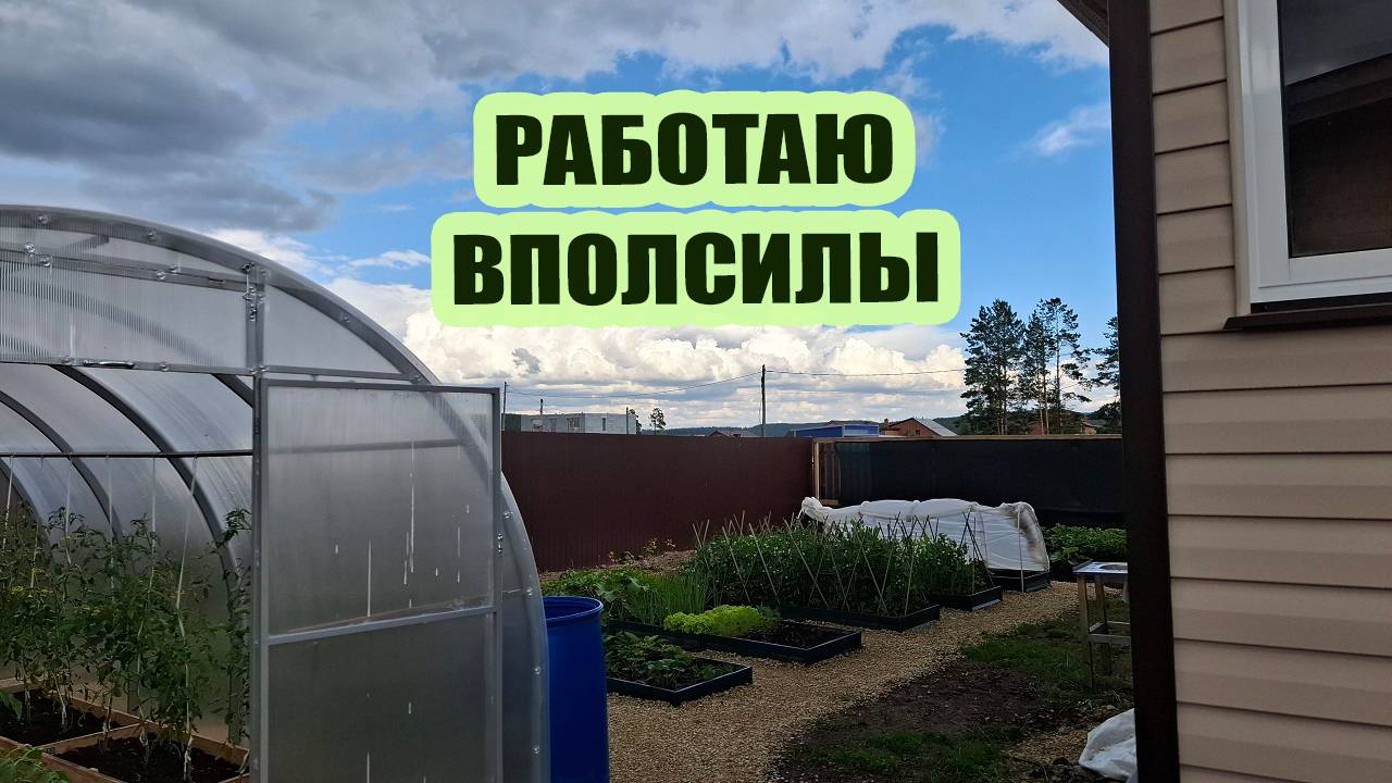 Творим безобразие! Моя очередь ходить по врачам. Работаю вполсилы