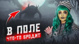 В ПОЛЕ ЧТО-ТО БРОДИТ  | Страшная история