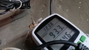 Саранча которая везде