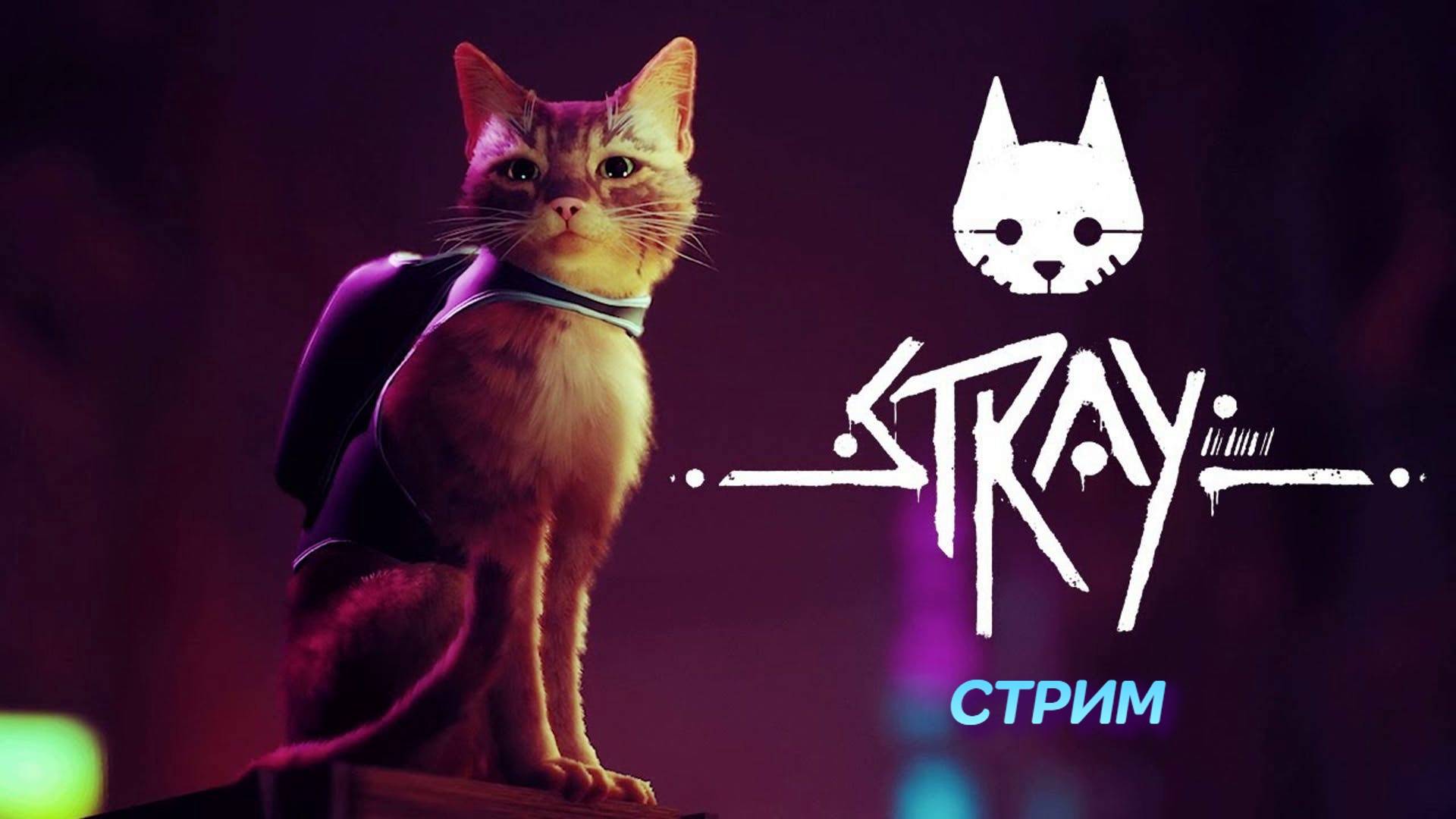 Stray | стрим | PC
