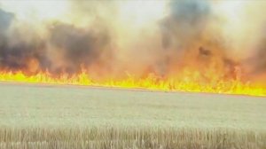 Огненная среда на Ставрополье: сразу в нескольких округах полыхали пожары