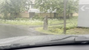 Откройте для себя красоту родного города в новом свете