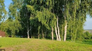 дом на реке