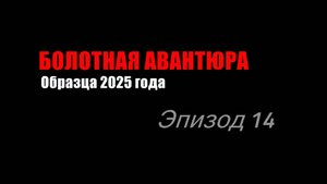 Болотная Авантюра 2025