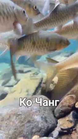 Таиланд