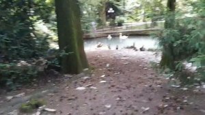 1 день из Сочи