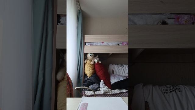 делаю подарок папе на день рождения.