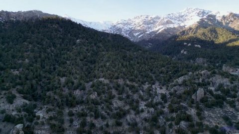 Смотреть видео онлайн