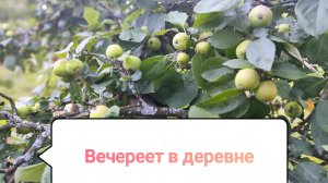 В деревне вечереет