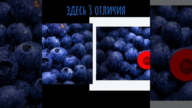 3 отличий