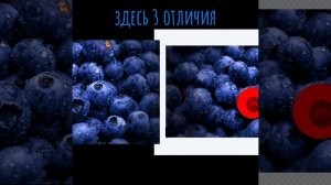 3 отличий