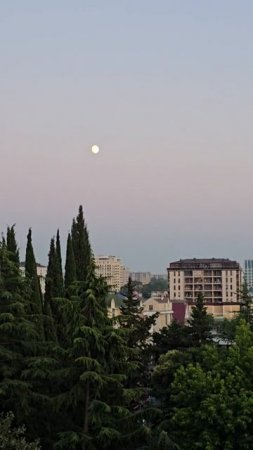 вид из номера, луна, море 8.07.2025 Сочи