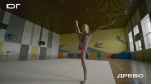 Герои ЮГ: гимнастика, Филиал Академии Ирины Винер