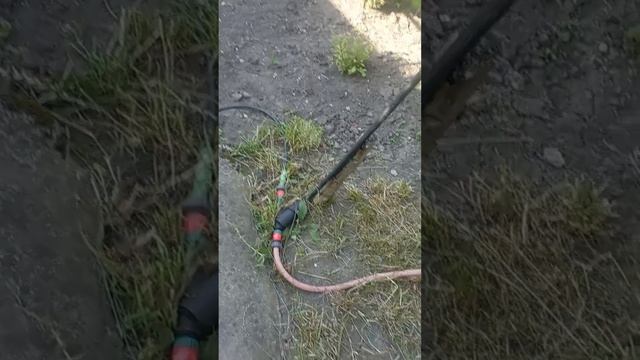 ДЕЛАЕМ КАПЕЛЬНЫЙ ПОЛИВ СВОИМИ РУКАМИ