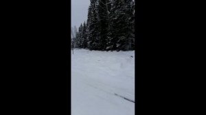 Лыжный старпер