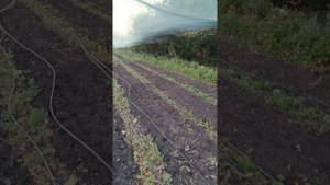 Как крепким притеняющую сетку 55%, что бы не рвалась , без каркаса! #притеняющаясеткакрепим #варианк