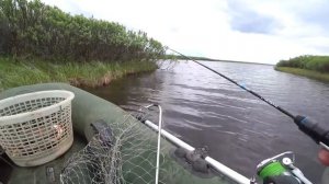 ДУМАЛ ЗАЦЕП!!! НО ОН ОЖИЛ!! РЫБАЛКА С НОЧЁВКОЙ В ТУНДРЕ!!ЛЕТНЯЯ РЫБАЛКА 2025