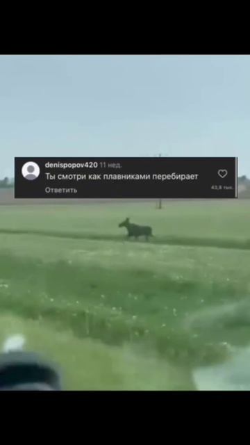 Ржака 🤣🤣🤣