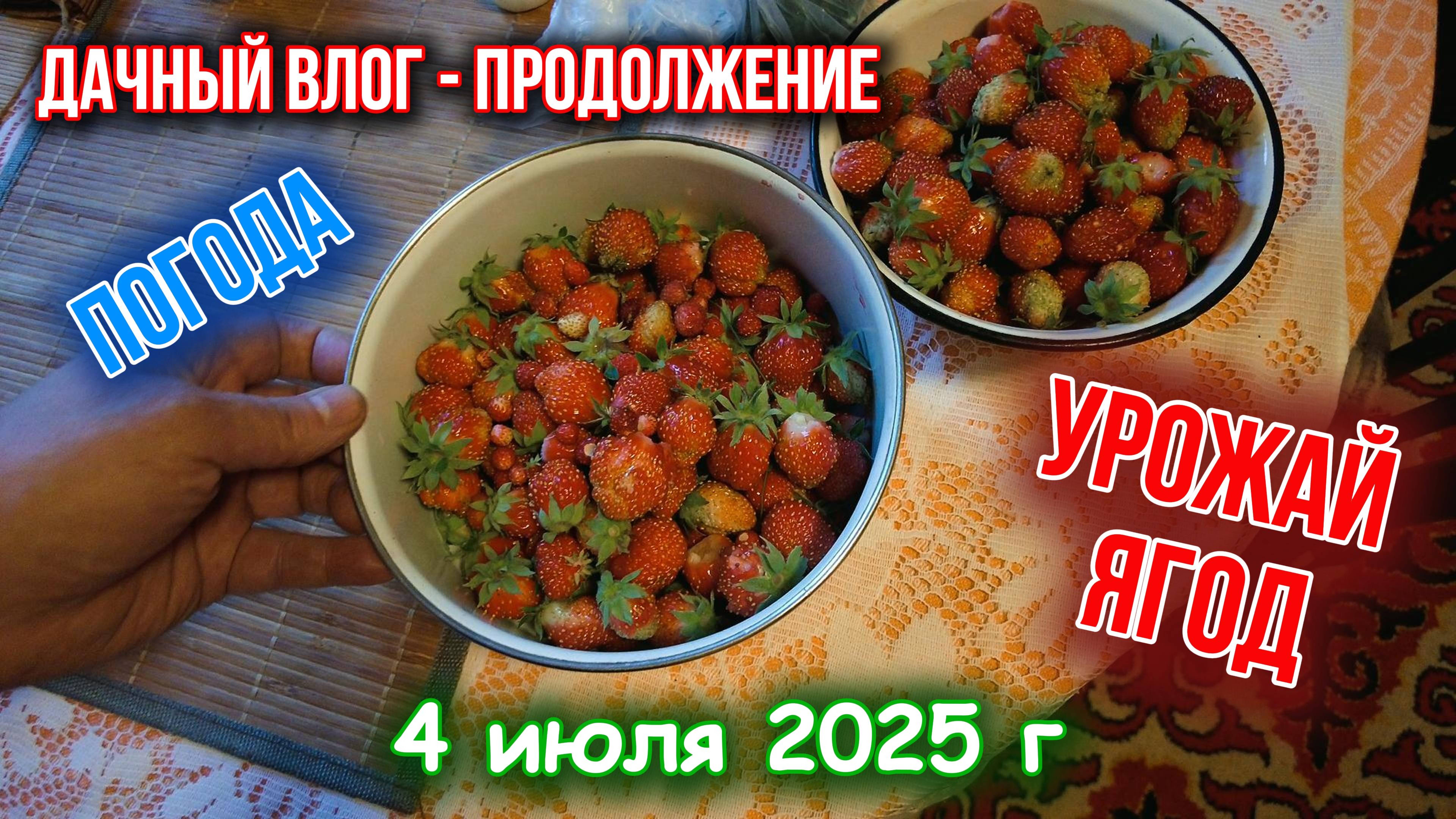 Дачный влог - погода ягоды 4 июля 2025 г