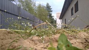 Один день глазами целительницы 2