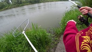 много интересных по клевок.рыбалка на хопре 2025