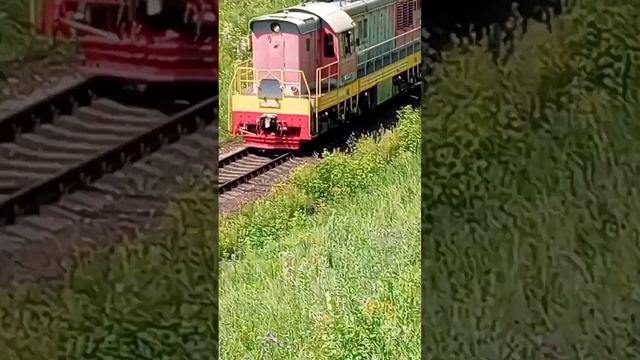 08.07.25. идём на погост навестить могилы родичей. Зарисовка города