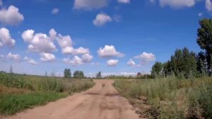 Летний день. 😊