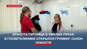 Красота и здоровье питомца в умелых руках: в Госветклинике открылся груминг-салон