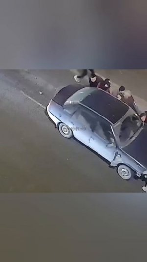 и сибаса