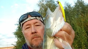 Видеообзор воблера Zipbaits Orbit 80 SP-SR