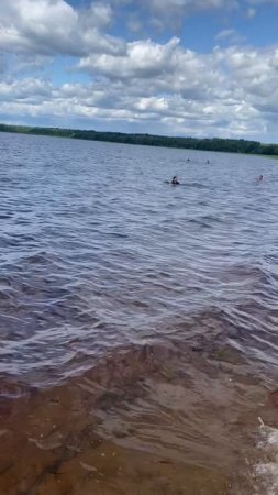 В Петербурге тоже есть лето! Одно из многочисленных красивых озёр Ленинградской области. Туризм.