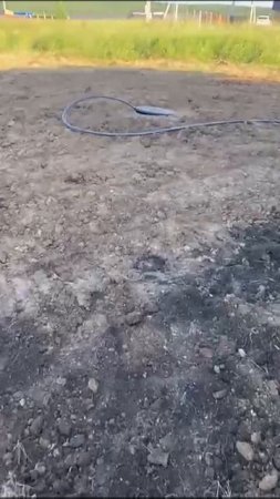 video_2025-07-09_12-14-31