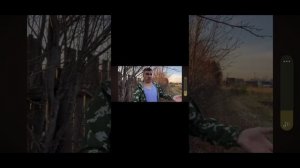 ржака