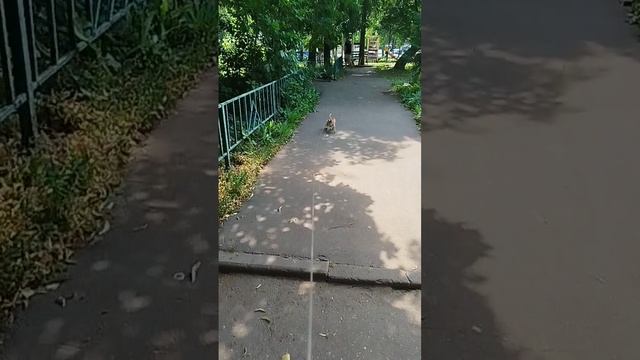 Сеня молодец второй день спит как не в себя 😁