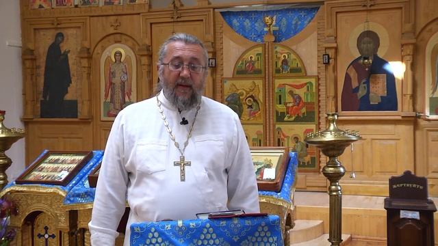 Скрывай свою добродетель и недостатки других. Священник Игорь Сильченков.