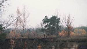 Это видео НЕ ДЛЯ СЛАБАКОВ! - Praying For A Blessing -- Kirk Osamayo -- Season Two (YELLOW)