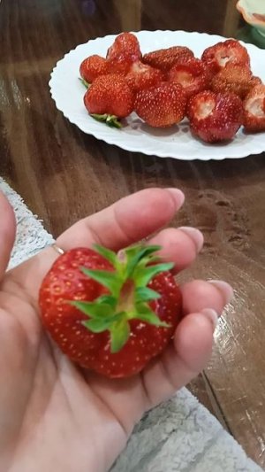 VID_20250708_123813.mp4