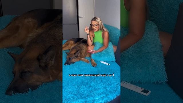 Карточка видео