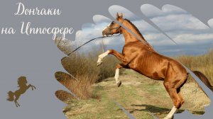 Породный ринг "Золото России" на конной выставке Иппосфера
