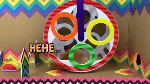 МУЛЬТИКИ ДЛЯ ДЕТЕЙ ХОМЯК БОРЕТСЯ ЗА СУПЕР-ПРИЗ В ФИНАЛЕ ГОНКИ