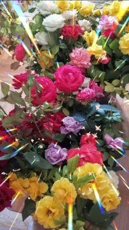 ЭТИ ЦВЕТЫ СЕГОДНЯ ДЛЯ ВАС! 🌺🌺🌺 БУДЬТЕ СЧАСТЛИВЫ! 👍