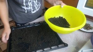 Девочки, вы просили показать. Нюансы по домашнему чаю.