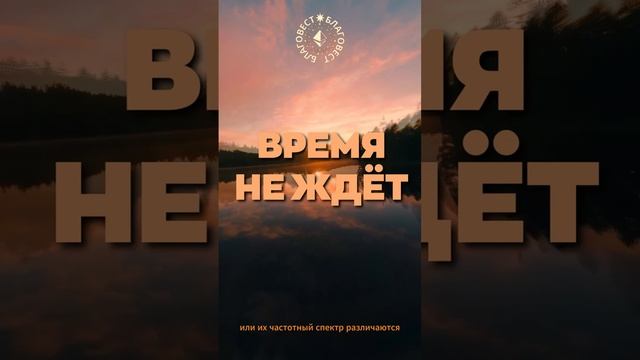 #БлагоВест ✴ ВРЕМЯ НЕ ЖДЁТ