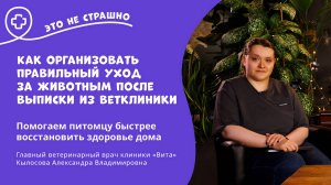 Это не страшно. Как создать комфортную среду за животным после ветеринарной клиники?