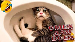Приколы с животными \ Смешные видео про животных 😸СМЕШНОЕ ВИДЕО😸 Наши любимые смешные животные