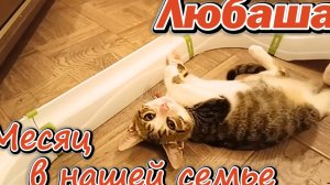 Любаша. Месяц в нашей семье.