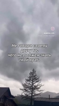 Мудрые советы