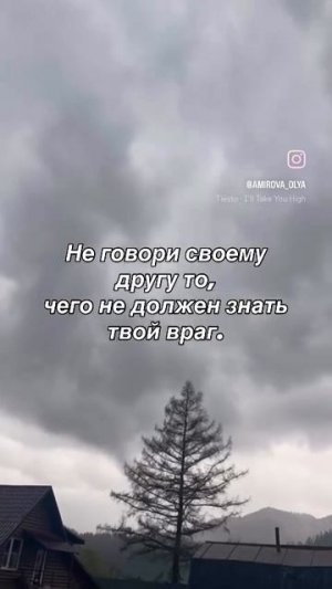 Мудрые советы