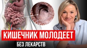 Не игнорируй ЭТО после 35 / Как в домашних условиях заживить дырявый кишечник и восстановить ЖКТ?